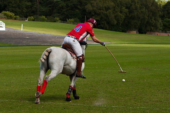 AGC Polo Cup 2010