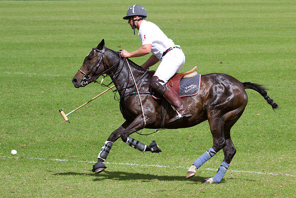 AGC Polo Cup 2010
