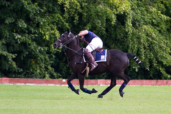 AGC Polo Cup 2010