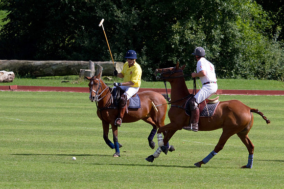 AGC Polo Cup 2010
