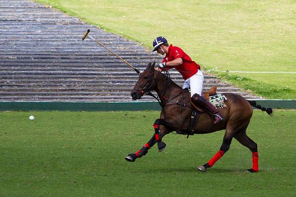 AGC Polo Cup 2010