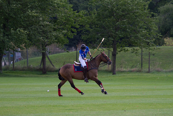 AGC Polo Cup 2010