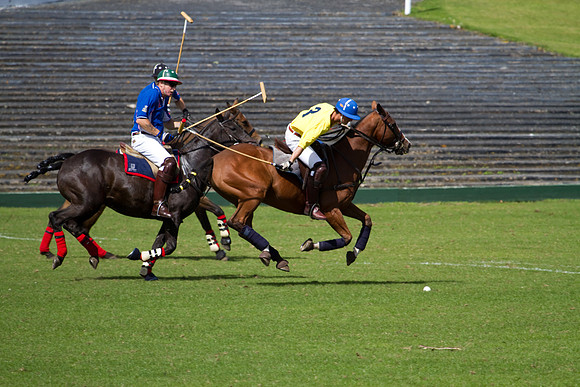 AGC Polo Cup 2010
