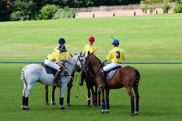 AGC Polo Cup 2010