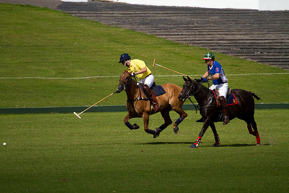 AGC Polo Cup 2010
