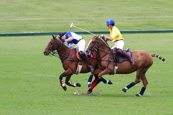 AGC Polo Cup 2010
