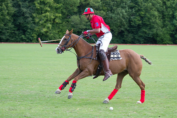 AGC Polo Cup 2010