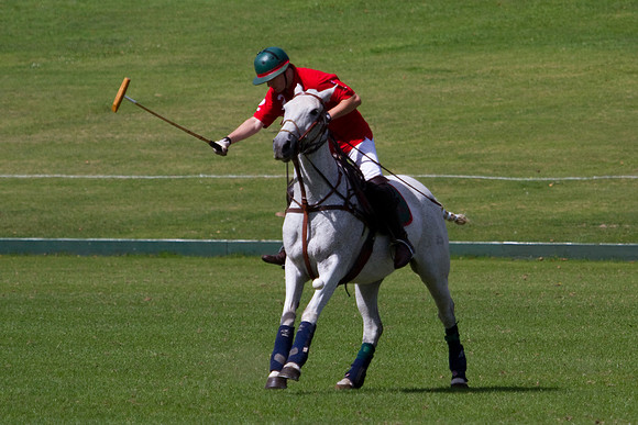 AGC Polo Cup 2010