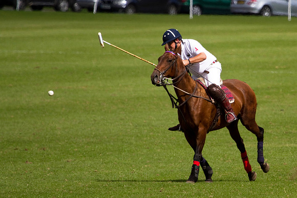 AGC Polo Cup 2010