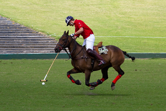 AGC Polo Cup 2010