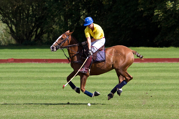 AGC Polo Cup 2010