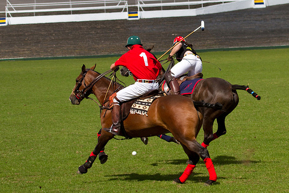 AGC Polo Cup 2010