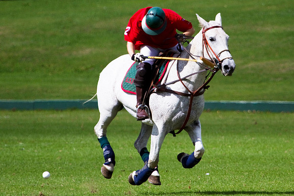 AGC Polo Cup 2010