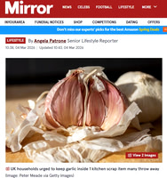 Mirror_March_2026