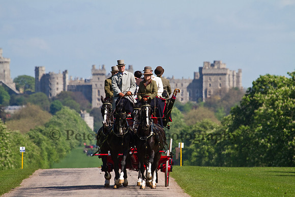 Royal Windsor Horse Show 2012