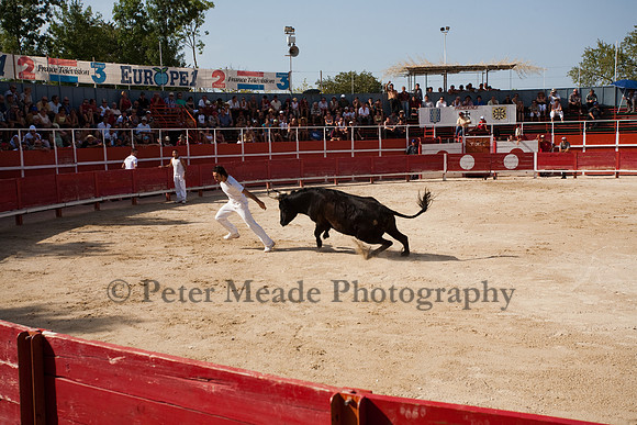 Course camarguaise