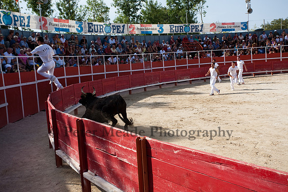 Course camarguaise
