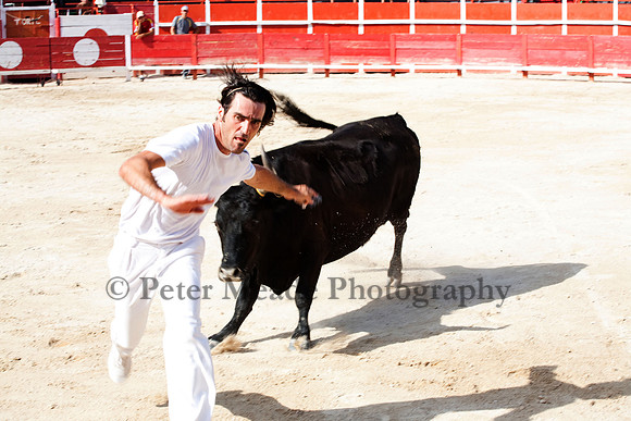 Course camarguaise