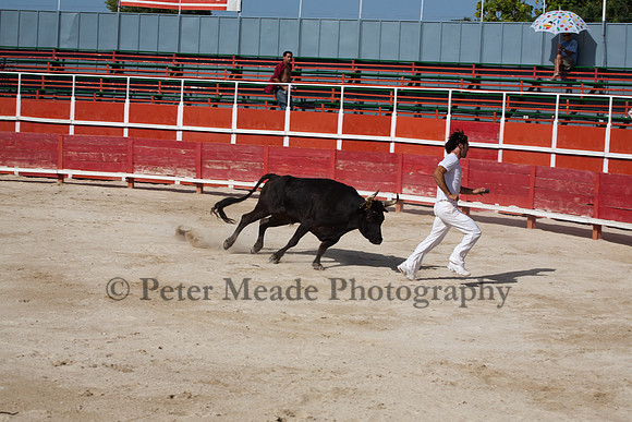 Course camarguaise