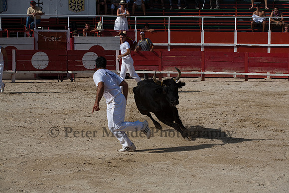 Course camarguaise