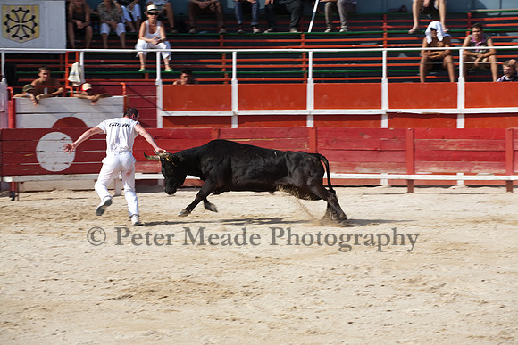 Course camarguaise