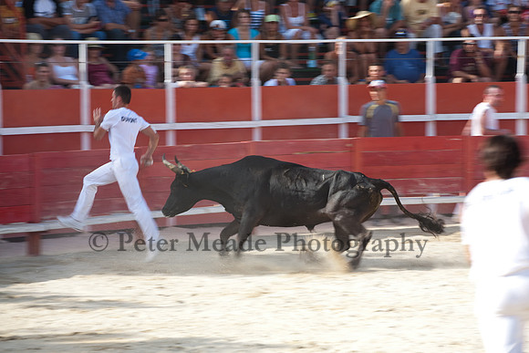 Course camarguaise