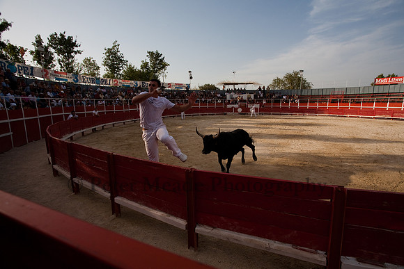 Course camarguaise