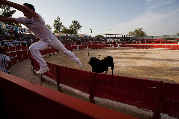 Course camarguaise