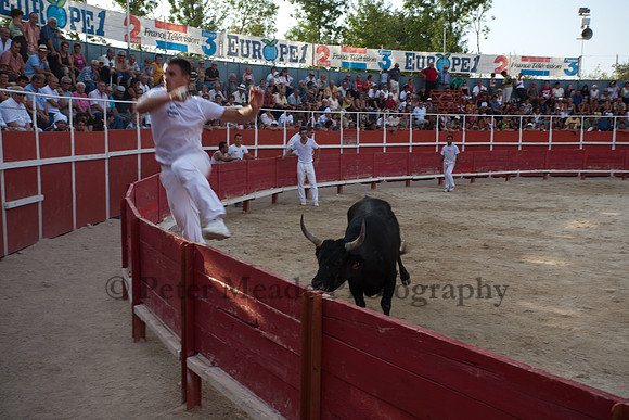 Course camarguaise