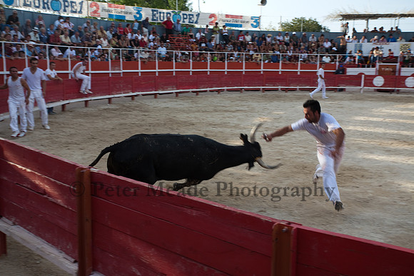 Course camarguaise