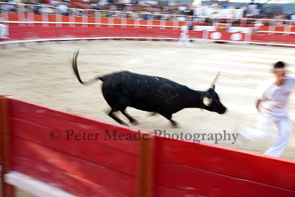 Course camarguaise