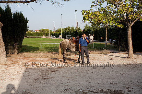 Course camarguaise