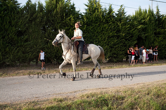 Course camarguaise