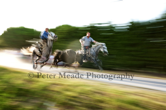 Course camarguaise