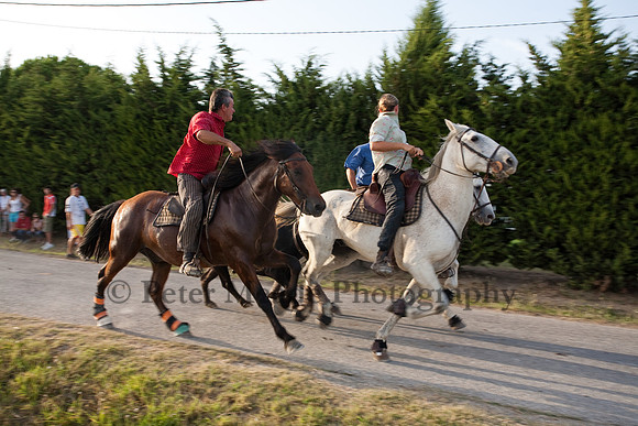 Course camarguaise