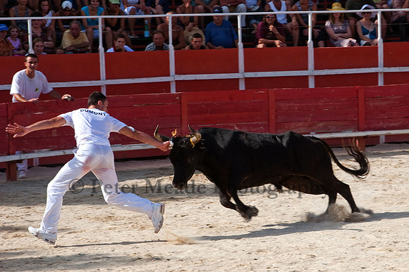 Course camarguaise