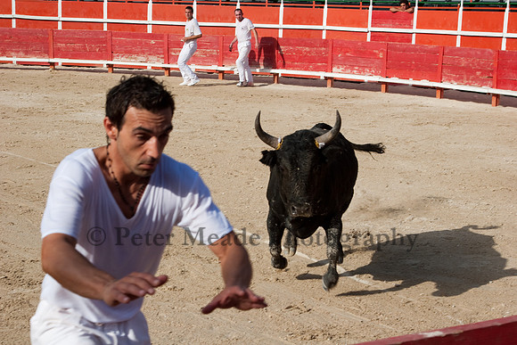 Course camarguaise