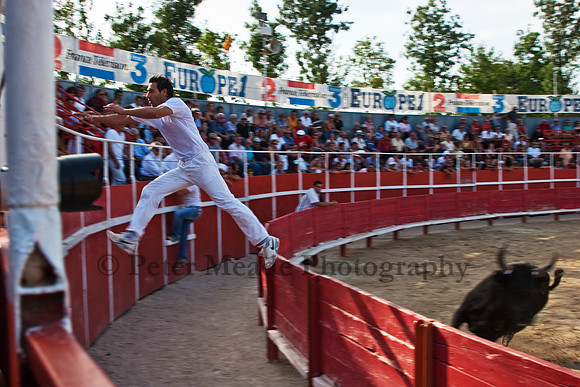 Course camarguaise