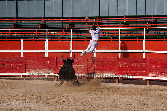 Course camarguaise