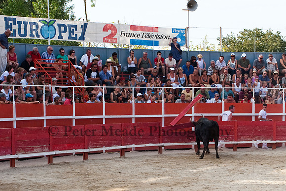 Course camarguaise