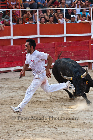Course camarguaise