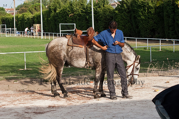 Course camarguaise
