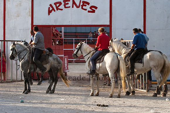 Course camarguaise