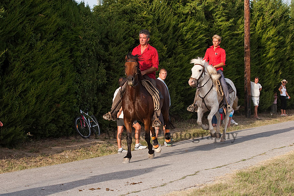 Course camarguaise