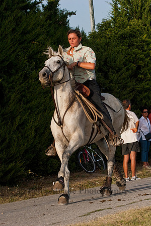 Course camarguaise