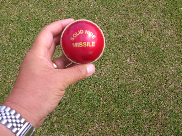DSC_0274