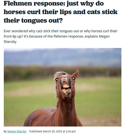 BBC_Wildlife_March_2023