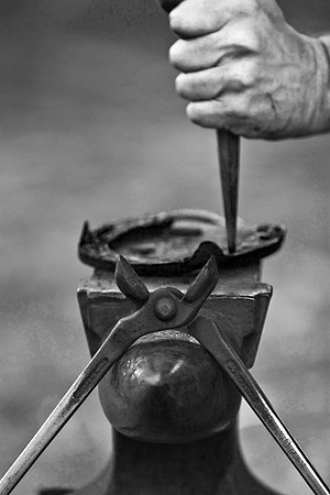 IMG_0855_BW