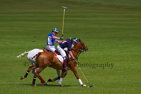 The Hogspear Captains and Subalterns Tournament