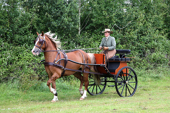 Warfield Driving Show 2008